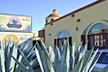 Los Magueyes